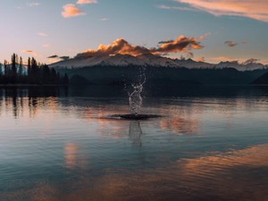 好きな事より心の安定。派遣社員になった代償は、連休明けの辛さ