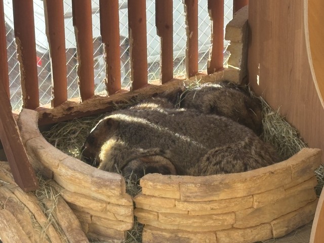 バックヤードから店頭にデビューした新人チーム