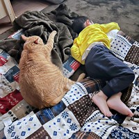 息子さんとシンクロポーズになって眠るリッツくん（画像提供：黎さん）