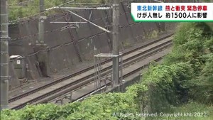 東北新幹線が熊と衝突して緊急停車　乗客にけが無し　宮城・栗原市