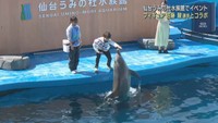フィギュアスケート佐藤駿選手が１日館長　仙台うみの杜水族館でコラボイベント