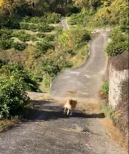 北田さんを通り過ぎ、走る、走る（提供：北田瑞絵さん）