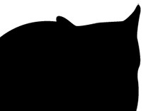 猫を殺した疑い、県嘱託職員を再逮捕　「私の暴力で死なせた」