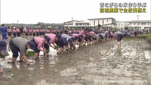 今回で１３８回目　宮城農業高校の伝統行事　全校田植え　初めて中学生も参加