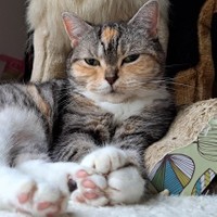 朝、まどろむ時間を楽しむ