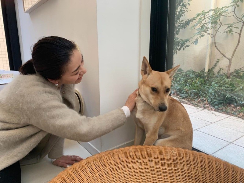 ママとパパと遊びに来てくれたハナちゃん。私のこと忘れちゃったかな？って思ったけど、我が家で好きだった場所は覚えていたみたい
