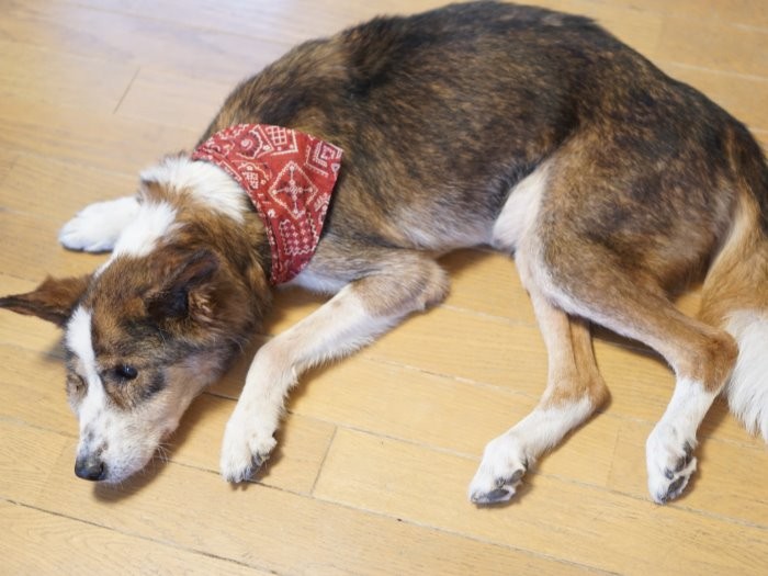 「俺なんでここにいるんだっけ」