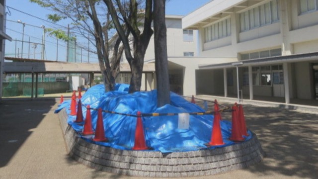 多度津高校の土壌から基準値超える有害物質を検出　健康被害は確認されず　香川