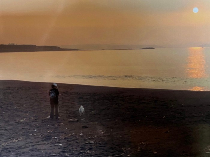 毎朝毎夕、海までお散歩（写真提供：幸子さん）