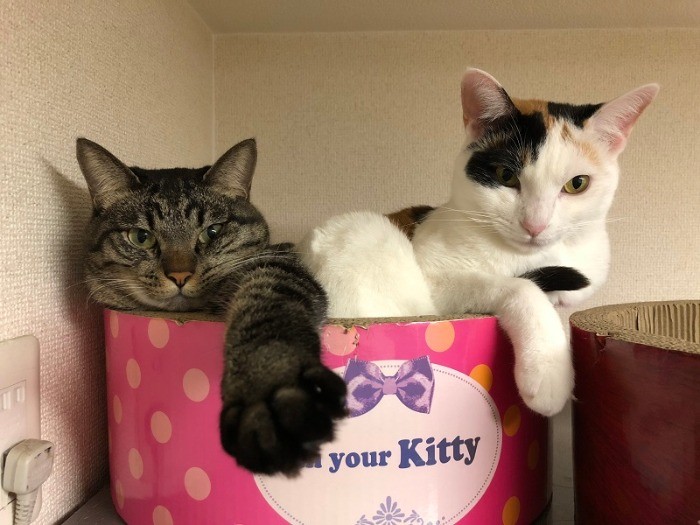 いつも一緒だよ