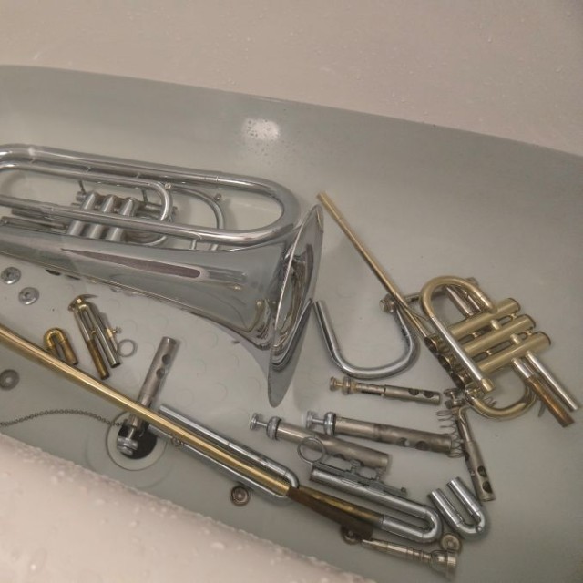 安かったのは、楽器の中に虫が湧いていたから！？　購入した金管楽器を自宅のお風呂で洗浄。 ※ディンガーさん提供