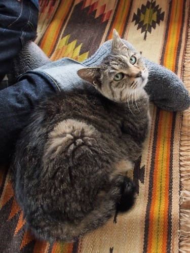 誰かのそばにいつもいたい