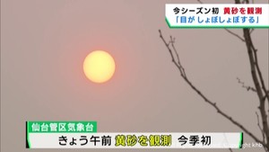 宮城県で黄砂を観測　今シーズン初めて