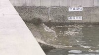 香川･多度津港 午前10時半ごろ