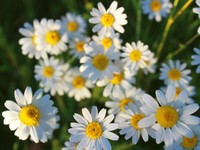 学校という狭い社会で寂しさに追われた私へ、今伝えたいこと