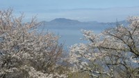 伊吹島　香川県観音寺市　5日