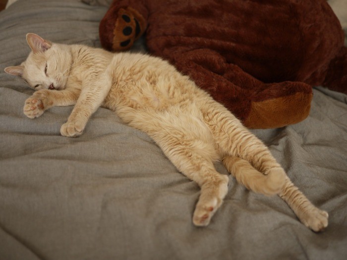 「はい、お疲れ」