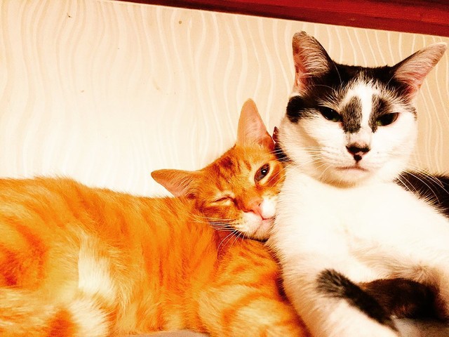 もんじろうちゃんとラブラブ