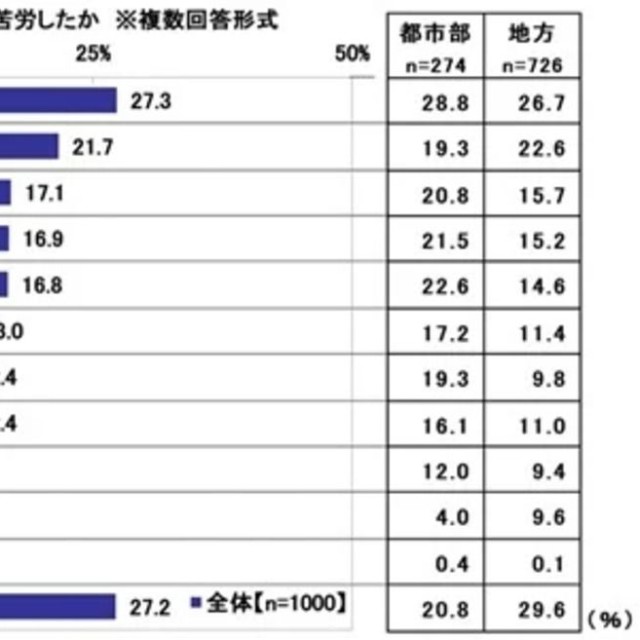 はじめてのマイカーを購入する際、どのような点で苦労したか※複数回答形式（提供画像）
