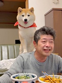 パパの肩にちょこん！ 笑顔の小雨ちゃん（画像提供：柴犬小雨さん）