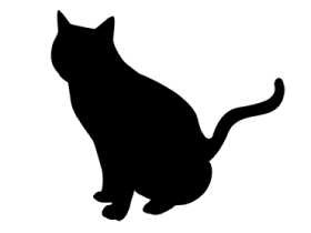 動物虐待事件が１年で６８件　加害者が撮影してネット投稿も 