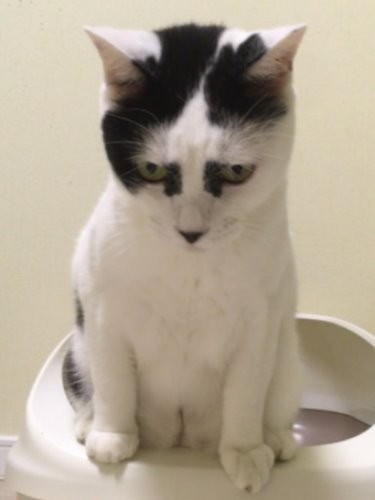 見得切ってる？　いま最高に気張ってるとこなんだよ