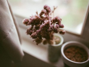 私による私のための自己プロデュース作戦は、半ばヤケクソに始まった