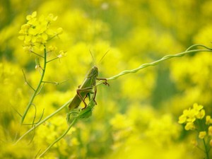 思い出すのは小学校の同級生。好きなものを好きと言えたあの子