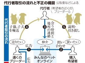 広告でブリーダー不当に囲い込み容疑 大手サイトを公取委検査