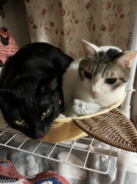 自宅には、好きな場所で過ごせるような工夫も！