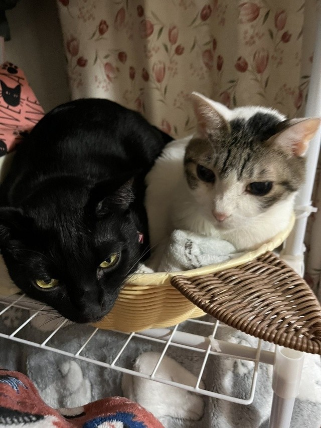 自宅には、好きな場所で過ごせるような工夫も！