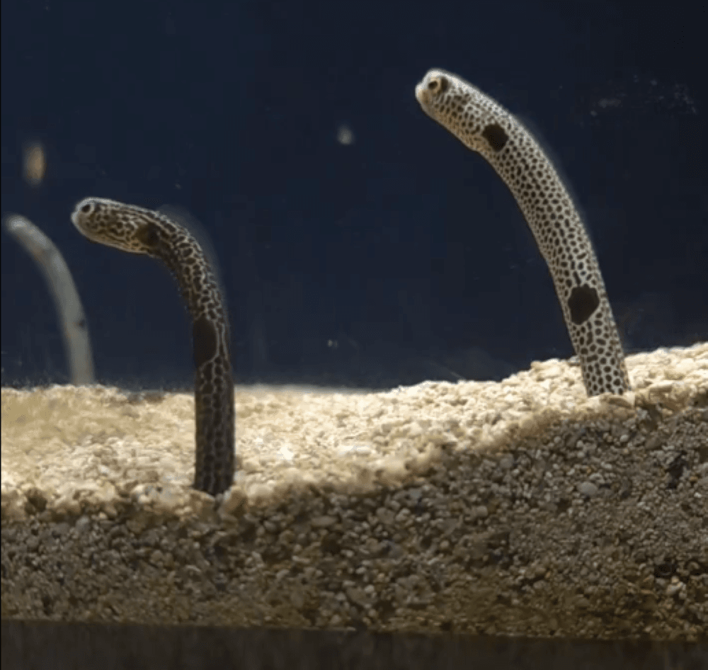 ん？突然の冷静タイム