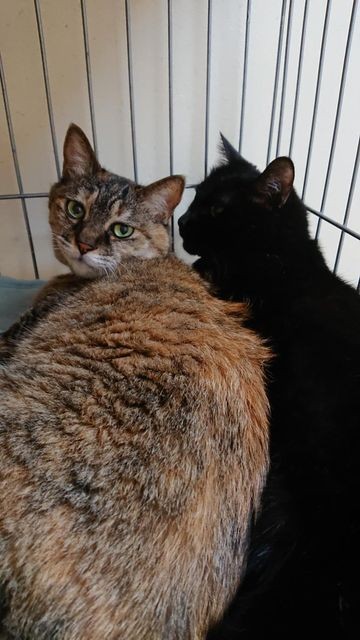 12年経っても仲良し