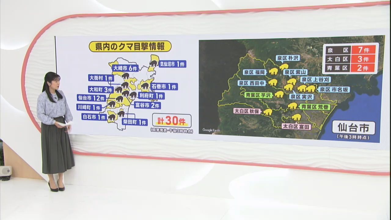 クマの目撃情報　宮城県　１２日午後３時〜１３日午後３時