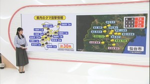 クマの目撃情報　宮城県　１２日午後３時〜１３日午後３時