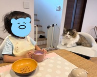 妹たちと食卓を囲むこともあるとか（「シィク / 猫アカ」さん提供）