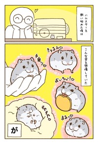 【漫画】「ハムスターを飼う前の想像と飼った後の思考こんな感じ」（提供：遊ハちさん）