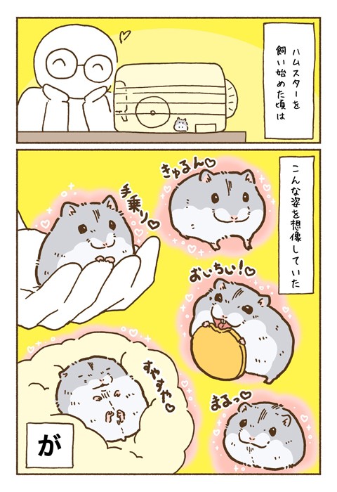 【漫画】「ハムスターを飼う前の想像と飼った後の思考こんな感じ」（提供：遊ハちさん）