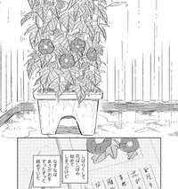 やっとアサガオの花が咲いた（春野ユキトさん提供）