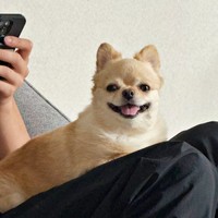 膝上でにっこり笑顔になるてんくん（画像提供：てん（6）さん）