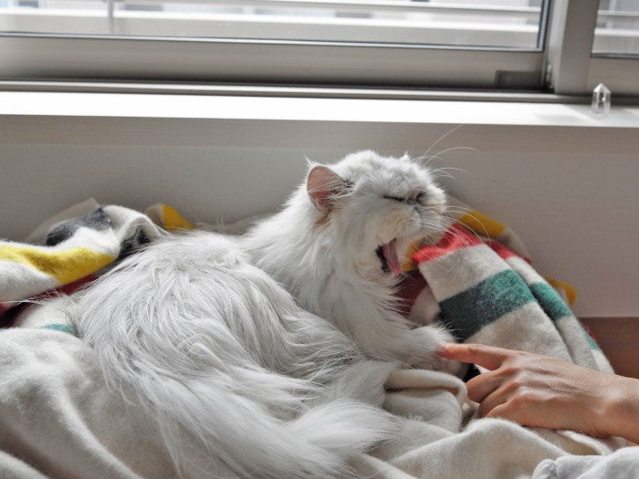 「時を待ちましょう～」