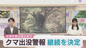 クマ出没警報を更に１カ月間継続　出没収まらず　宮城県
