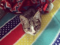 保護当時、顔のぐしゃぐしゃ感がすごかった