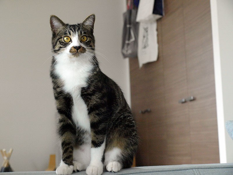 靴下の長さが全部バラバラですよ