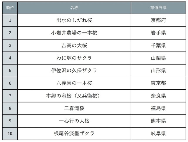 『じゃらん』会いに行きたい一本桜ランキング（提供画像）