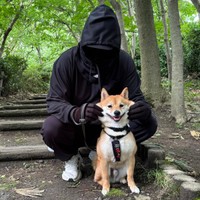 散歩中、飼い主さんにほっぺをムニュッとされるキュートな禄くん（画像提供：柴犬 ろくさん）