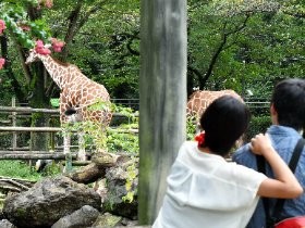 ツル、ウサギ、カメ…アイデア展示で、小さな町の動物園が大人気