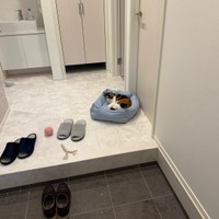 玄関先がお気に入り！？ ベッドでくつろぐおこげちゃん（画像提供：カワラさん）