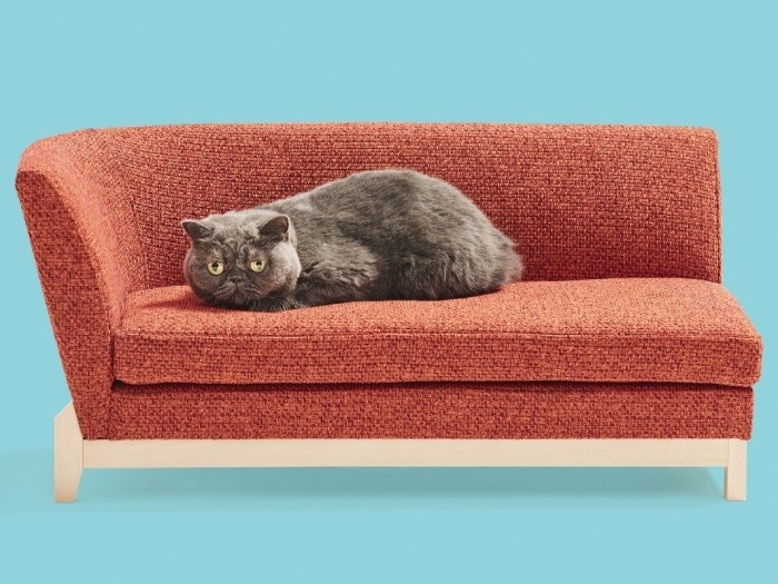 平田椅子製作所「ピソリーノ」158400円（税別）　（大川市提供）