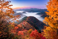 滋賀と福井を結ぶおにゅう峠の紅葉 ※長谷川ルウさん提供